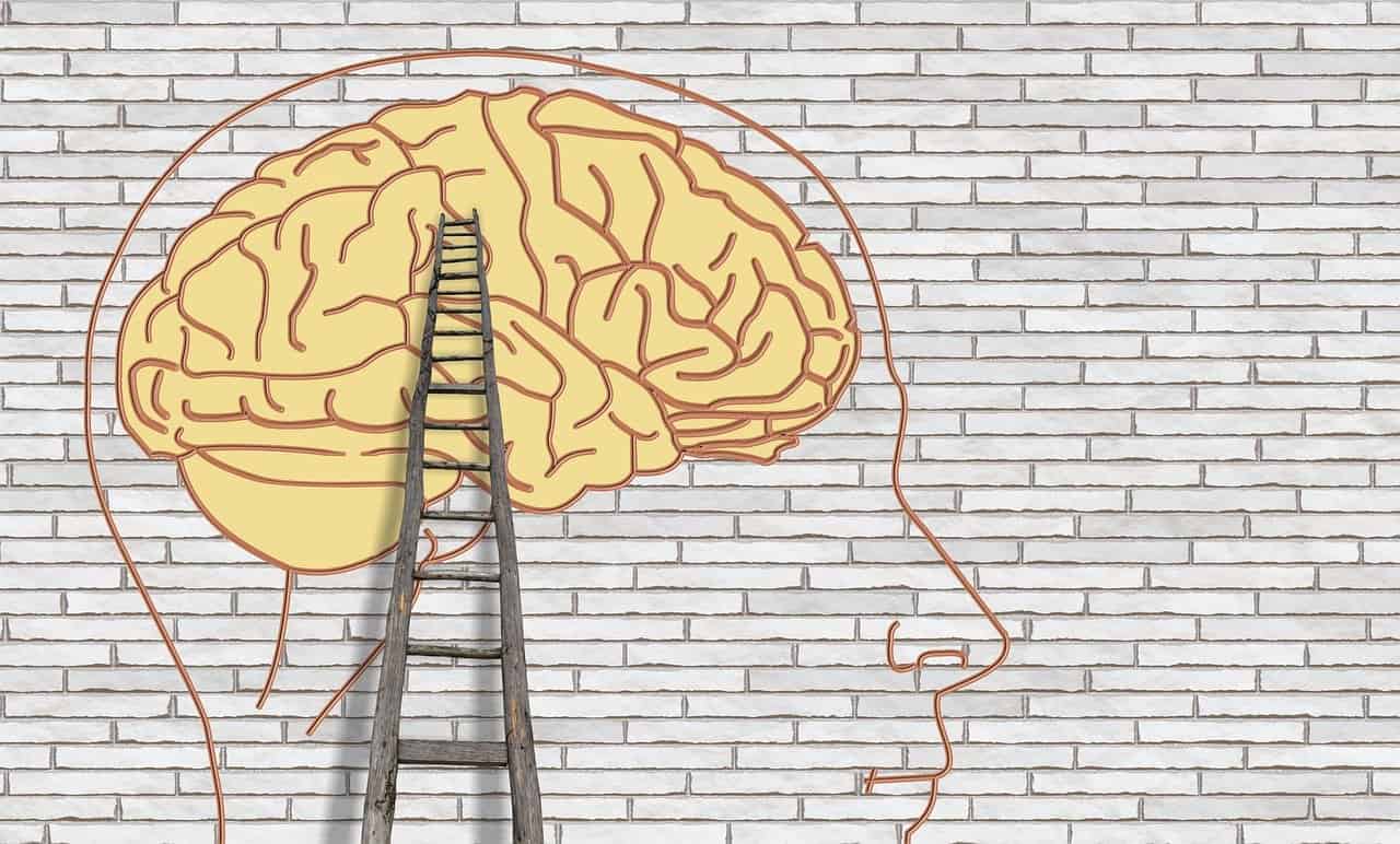 Neuropsicólogos Málaga, fuengirola, marbela, online